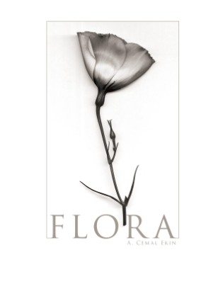 Publication preview