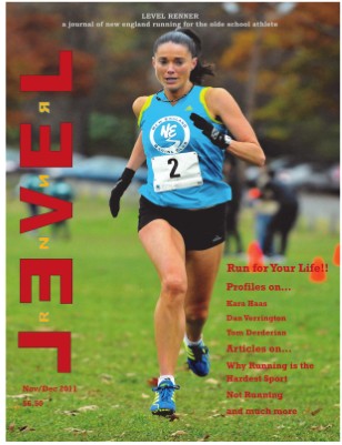 Publication preview