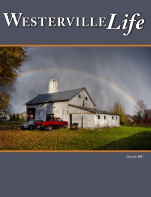 issue preview