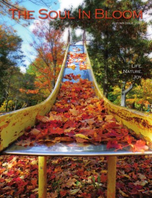 Autumn Issue 2011