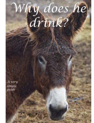 issue preview