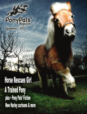 issue preview