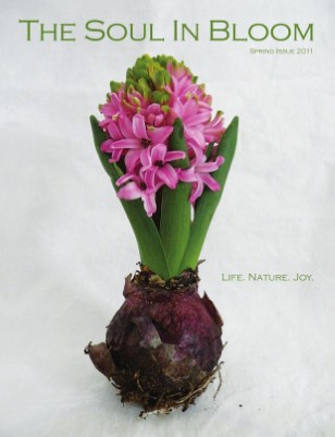 Spring Issue 2011