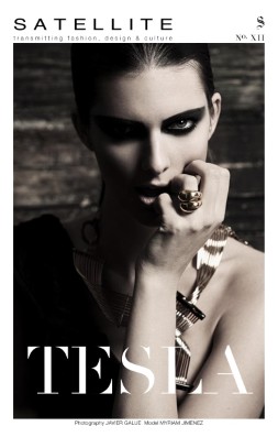 Publication preview