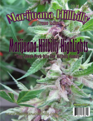 Publication preview