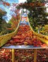 Autumn Issue 2011