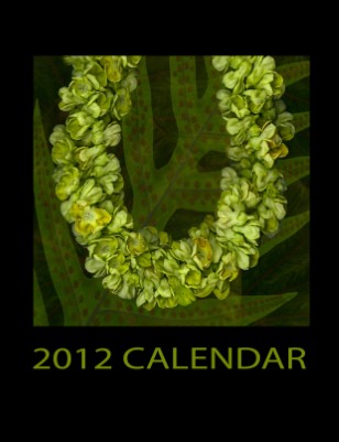 2012 Calendar (3)