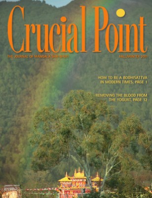 issue preview