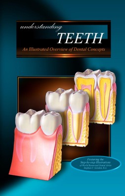 Understanding TEETH - An Illustrated Overview of Dental Concepts