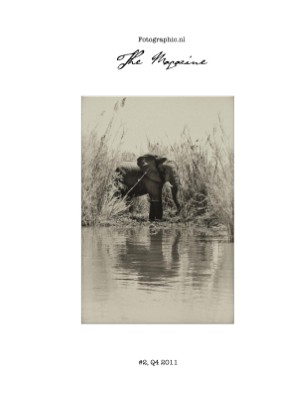 Publication preview