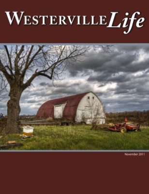 issue preview
