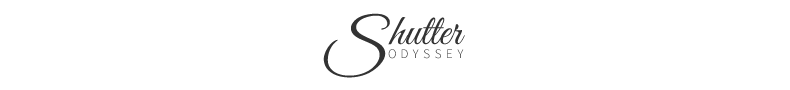 Shutter Odyssey - Posters