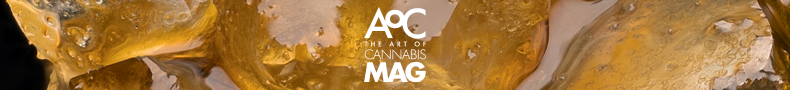 Other Publications