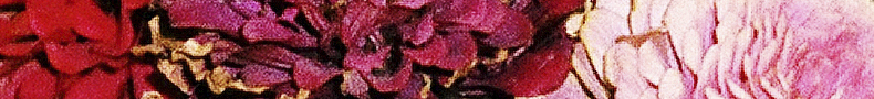 Other Publications