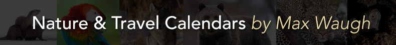 2014 Calendars