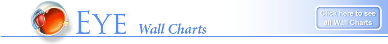 Eye Wall Charts