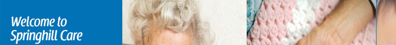 Springhill Group Care