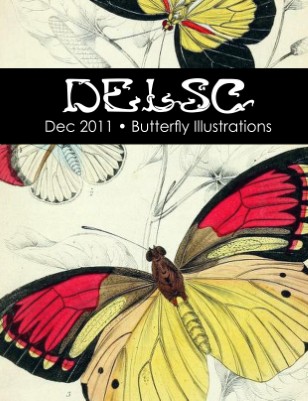 Butterfly Illustrations